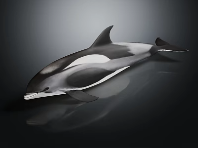 Detailed Black and White Sleek Dolphin Sculpture on Dark Reflective Surface 3d model