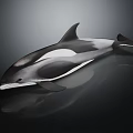 Detailed Black and White Sleek Dolphin Sculpture on Dark Reflective Surface