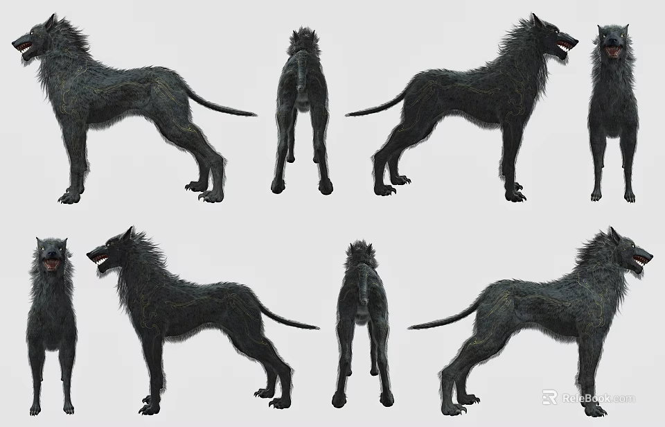 Black Wolf 3D Model Game and Movie Character With Different Angles Views 3d model 