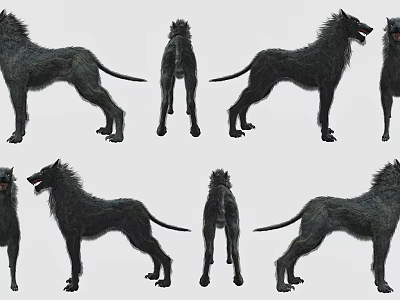 Black Wolf 3D Model Game and Movie Character With Different Angles Views 3d model