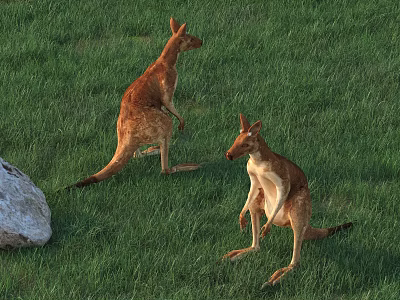 Two Reptiles Standing On Green Grass Field Next To Gray Rock 3d model