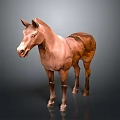 Realistic Brown Horse Statue Standing On Gray Background With Shiny Details