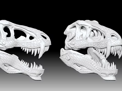 Modern Skull Tyrannosaurus Rex Skull 3d model