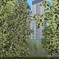 Modern High Rise Hotel Building With Greenery Surroundings And Urban Road Network