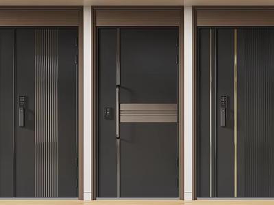 Modern Double Door Design With Main And Secondary Panels Dark Metal Accents 3d model