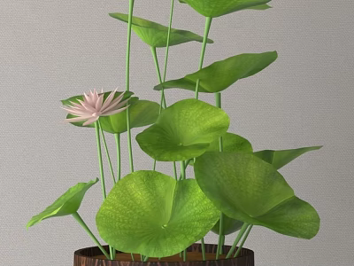 Decorative Ornament Set With Pink Lotus Flower And Green Leaves In Wooden Pot 3d model