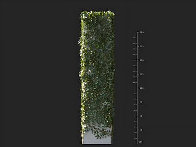 Vertical Vine Wall With Scaled Height Ruler And Lush Green Foliage 3d model