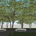 Circular Landscape Seats Surrounded by Trees and Green Grass on Paved Ground 3d model