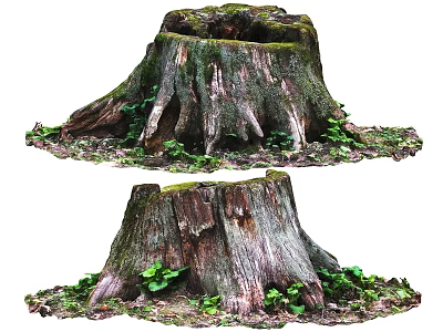Natural Wood Tree Stump With Exposed Roots And Green Mossy Surroundings 3d model