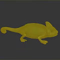 Lizard Anime Lizard Chameleon Cartoon Lizard Reptile Cold Blooded Animal Reptile Class 3d model