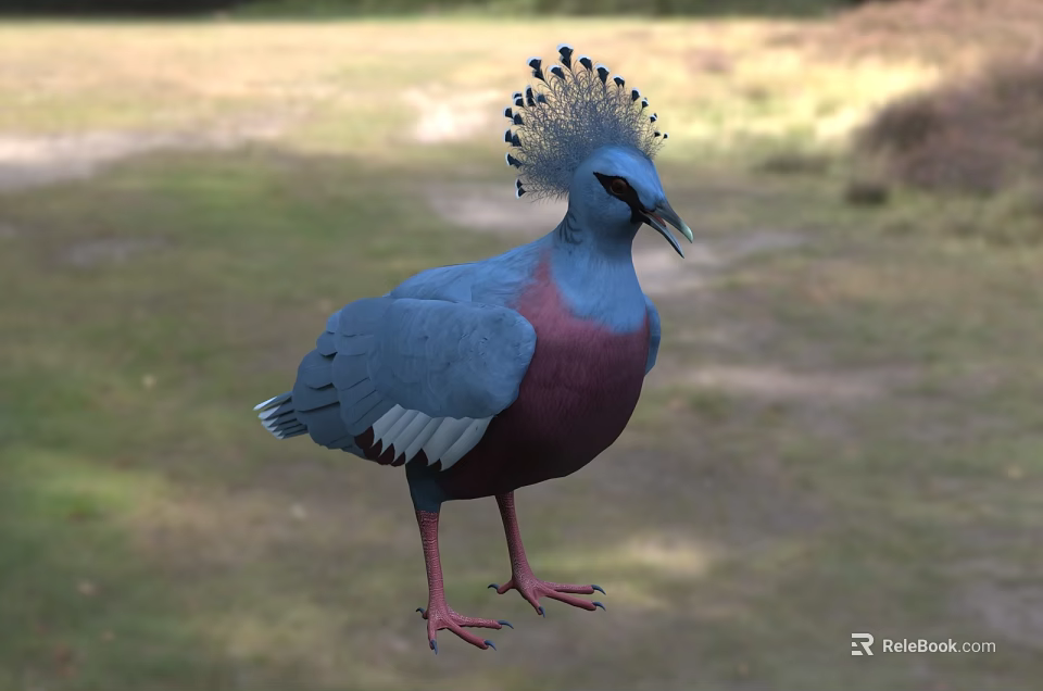 Vibrant Blue and Pink Feathered Flying Animal with Crested Head Standing on Grassland 3d model 