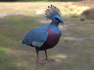 Vibrant Blue and Pink Feathered Flying Animal with Crested Head Standing on Grassland 3d model