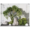 Lush Indoor Landscape With Green Tree Rocks Bushes And White Decorative Balls