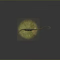 Green Long Necked Dinosaur With Long Tail Standing On Grassland In Gray Background
