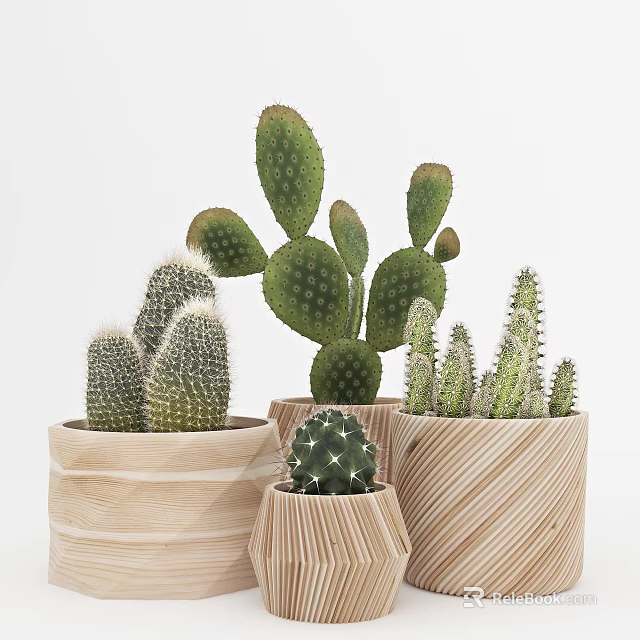 Various Cactus Bonsai Potted Plants in Wooden Containers for Home Decor 3d model 