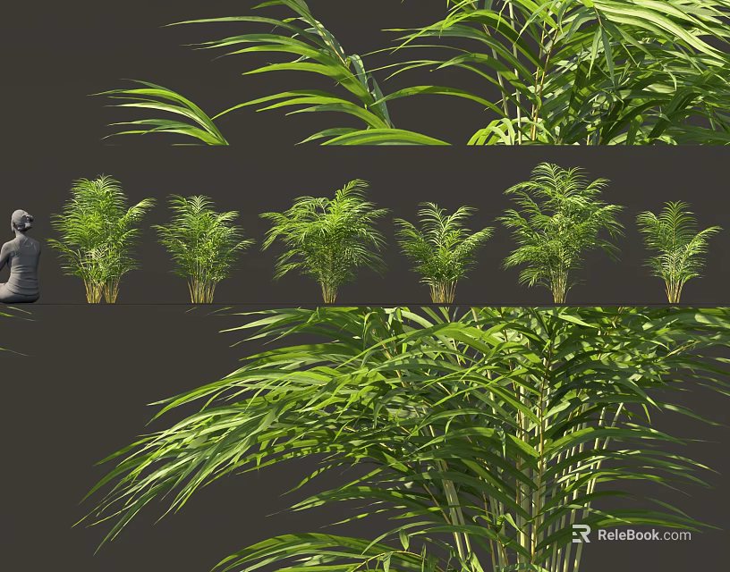 Bamboo Plants Display Featuring Various Forms And Stone Statue 3d model