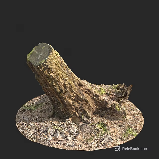 Natural Wooden Tree Stump With Stones Grass And Green Moss 3d model 