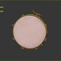Vintage Circular Musical Drum With Light Colored Head And Metal Decorations