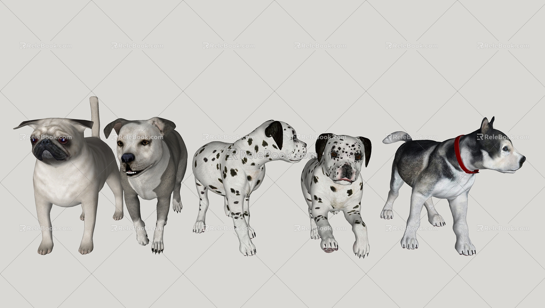 Modern Dog Pet Dog 3d model