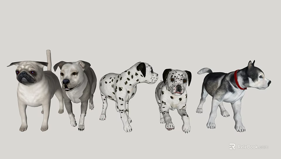 Different Reptile Species With Varied Patterns And Scales Moving Forward 3d model 