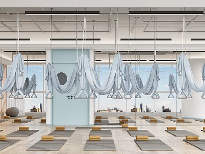 Bright Aerial Yoga Studio With Hammocks Mats Mirrors And Exercise Equipment 3d model