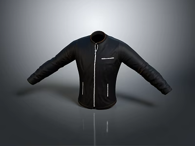 Sleek Black Jacket With Stand Collar Long Sleeves Zipper Closure And Front Pockets 3d model
