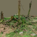 Lush Forest Floor With Mossy Tree Stumps Fallen Trunks Green Grass And Standing Trees 3d model