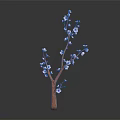 Pink Flowering Tree Branch With Brown Stem And Blooms Against Dark Background