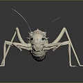 Detailed White Cricket 3D Model Displayed On Gray Background With Reflection