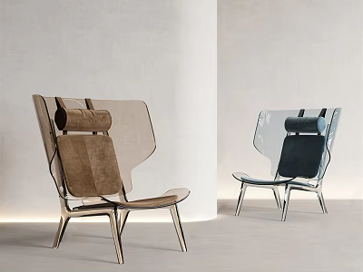 Stylish Modern Leisure Chair With Transparent Backrest Metal Frame And Two Tone Design 3d model