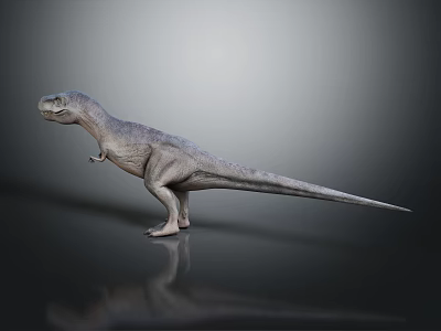 Realistic Tyrannosaurus Rex Dinosaur Model Standing On Dark Background With Reflection 3d model