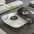 Modern Black And White Coffee Table With Tray Decorative Sculpture And Potted Plant Near Sofa