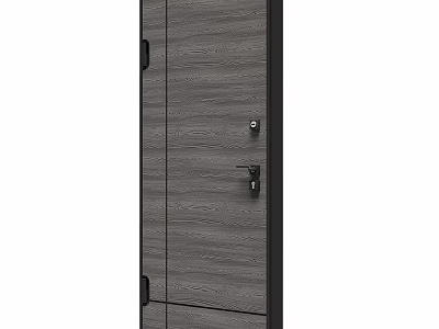 Modern Wooden Door Design With Black Frame Lock Handle And Wood Grain Texture 3d model