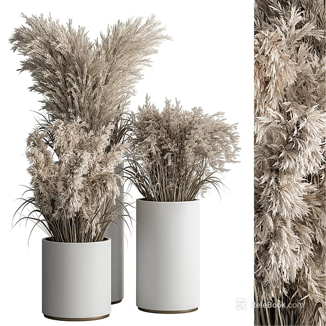 Dried Pampas Grass Decorative Potted Plants In White Ceramic Vases For Modern Home 3d model 