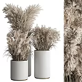 Dried Pampas Grass Decorative Potted Plants In White Ceramic Vases For Modern Home