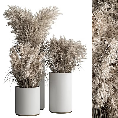 modern potted plant potted dried flower 3d model