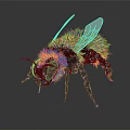 Detailed Green Fuzzy Bee With Black Body Transparent Wings And Blue Eyes