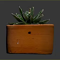 Succulent Plant With Green Leaves And White Stripes In Orange Terracotta Pot With Small Pebbles