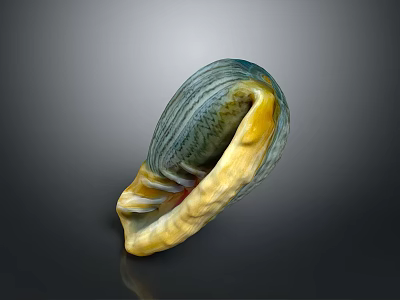 Detailed Anatomical View of Shell Organ Structure with Hair Like Textural Features 3d model