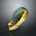 Detailed Anatomical View of Shell Organ Structure with Hair Like Textural Features