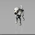 Dalmatian Puppy With Black And White Spots Standing On Dark Background Shiny Floor
