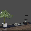 Elegant Tea Set with Teapot Cups Wooden Tray and Small Plants on Tabletop