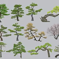 Ornamental Trees With Various Shapes And Green Foliage For Garden Landscaping