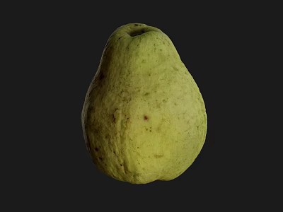 Fresh Ripe Green Guava With Speckled Surface On Black Background 3d model
