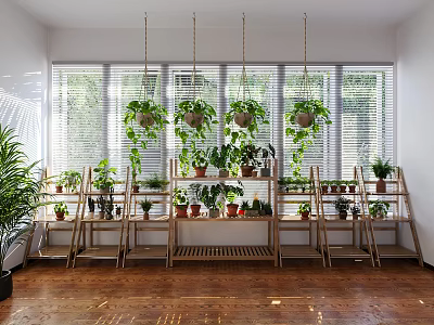 Indoor Garden Decor With Wooden Shelves Potted Plants And Hanging Greenery Natural Light Through Blinds 3d model