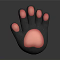 Detailed Animal Paw With Five Pink Toe Pads And Dark Textured Surface