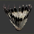 Traditional Feather Headdress With Black White Feathers Colorful Beadwork And Tassels