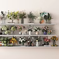 Various Colorful Flowers In Decorative Vases Arranged On Multiple White Shelves