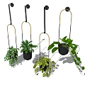 Stylish Hanging Planters with Lush Green Plants and Metal Hangers for Indoor Decor