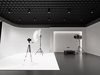 Professional Photography Studio Setup With Tripods Softbox Lighting And White Backdrop 3d model